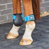 Saxon Contoured Fetlock Boots, Black/Blue, Cob