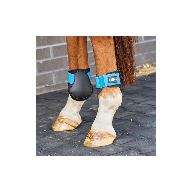 Saxon Contoured Fetlock Boots, Black/Blue, Cob