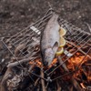 Portable Grill Kit by Wolf and Grizzly