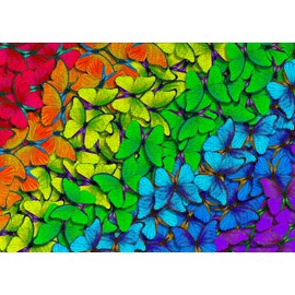 1000 Pieces Jigsaw Puzzle for Adults – Matte Finish, Soft Touch, Sturdy and Unique Pieces, Tight Fit, Vivid Colors, Missing Pieces Service – Multicolor Butterflies Rainbow Gradient – by ENJOY Puzzle