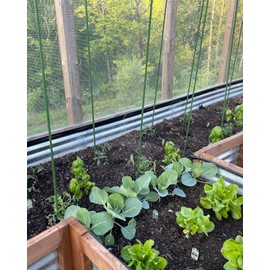 G-LEAF Garden Stakes 5 ft Plastic Coated Steel Tube Sturdy Metal Plant Sticks for Tomato,Cucumber,Bean,Tree,Pack of 50