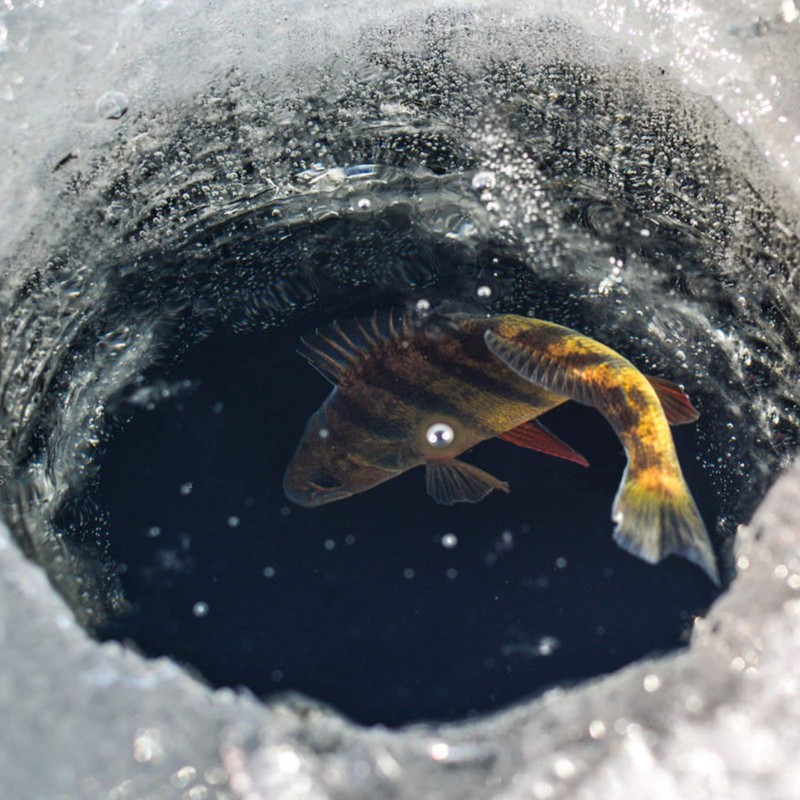 SF Ice Fishing Rod Cover with Elastic Band & Hanging