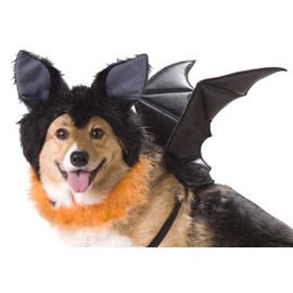 California Costumes Pet Triceratops Dog Costume
