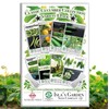 Classic Cucumber Collection Variety 8-Pack Home Garden Starter Kit by