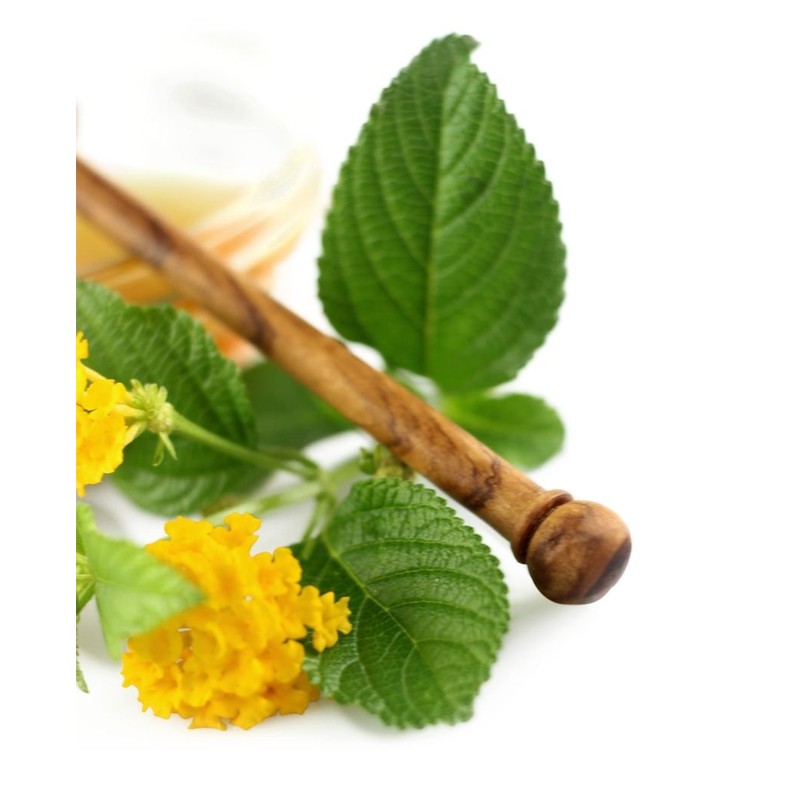 Olive Wood Honey Spoon 14 cm