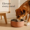 Flamingo Xara Dog Bowl Stainless Steel - 1.2 L Diameter