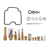 Generic Fit For Can Am Bombardier DS 650 Carburetor Rebuild