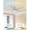 DAMINY 52 inch Nickel Ceiling Fans with Lights,5 Blades,6CCT, Low