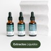 LANDA Extracto Liquido de Hongo Melena de León 30 ml