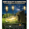 12 Pack Solar Pathway Lights Outdoor, Taller Bright Solar Path