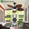 Tropical Ceiling Fan with Light & Remote - 42-Inch Palm