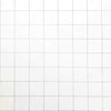 Raymay Fujii Da Vinci Refill for Notebook, Grid 5mm, A5,