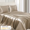Pamposh Satin Silk Pillowcases For Hair And Skin 2 Pack