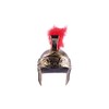Roman helmet royal