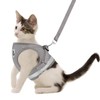 GAUTERF Kitten and Puppy Universal Harness with Leash Set, Escape