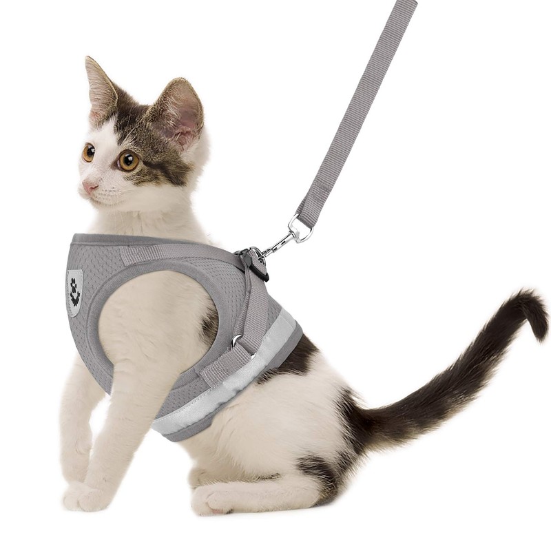 GAUTERF Kitten and Puppy Universal Harness with Leash Set, Escape