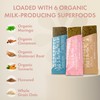 Boobie Bar Superfood Lactation Bar Variety Pack, Lactation Snacks for