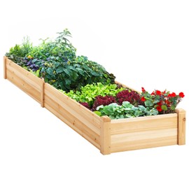 IDZO Raised Garden Bed, Upgraded Durable Garden Box with, 96 Inches Wood Planter with One Divider Box Make Organizing Your Plant Crops Easier