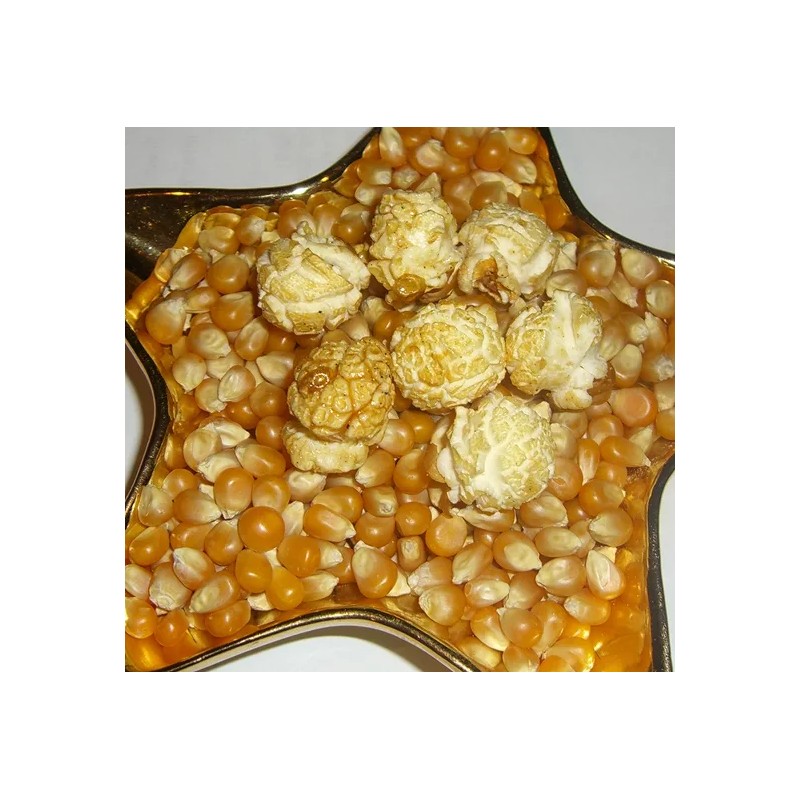 Keifer's MAGIC Mushroom GIANT Kernel Popping Corn 5- 1 lb