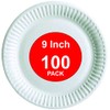 HOT BARGAINS 100 X 9 Inch Disposable Paper Plates for