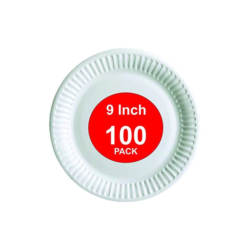 HOT BARGAINS 100 X 9 Inch Disposable Paper Plates for