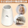 Cicogna Hedgehog Hamster Drinking Automatic Water Tank Bottle Roll Ball