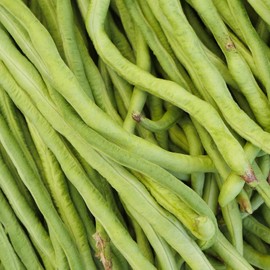 California Black-Eye Bush Beans - 5 Lb - Non-GMO, Heirloom - Black-Eyed Peas (Cowpeas) - Vegetable Garden Seeds