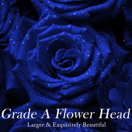 Gifts for Women Birthday Gifts for Mom Preserved Flower Rose in Glass Angel Figurines, Forever Flower Eternal Rose Angel Gift Mothers Day Flowers Gifts for Mom Wife Grandma Her Sister Daughter, Blue