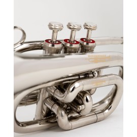 QUEENBRASS Pocket Trumpet in Bb Pitch – Chrome Finish Brass Instrument with Mouthpiece & Case | Compact Design for Students, Beginners & Professionals