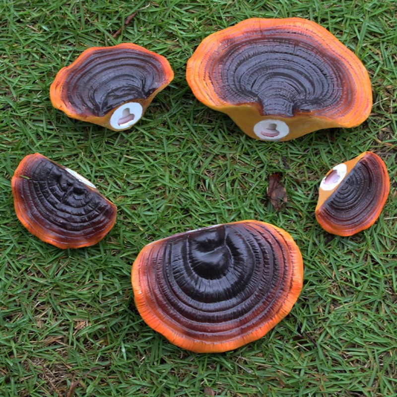 Mini Reishi Mushroom Wall Shelves, Premium Simulation Mushroom Shelf Decoration