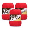 Lily Super Size Red Yarn - 3 Pack of 113g/4oz