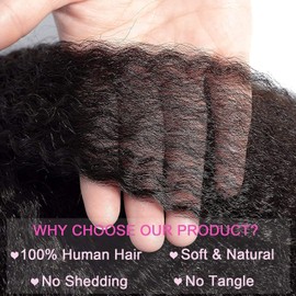 Kinky Straight Lace Front Wigs Human Hair Yaki Stairght 4x4 HD Transparent Lace Frontal Kinky Straight Wigs with Hairline Pre-Plucked 150% Density 20 Inch 1B Color for Black Women Daily Use