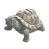 Pond Turtle Spitter