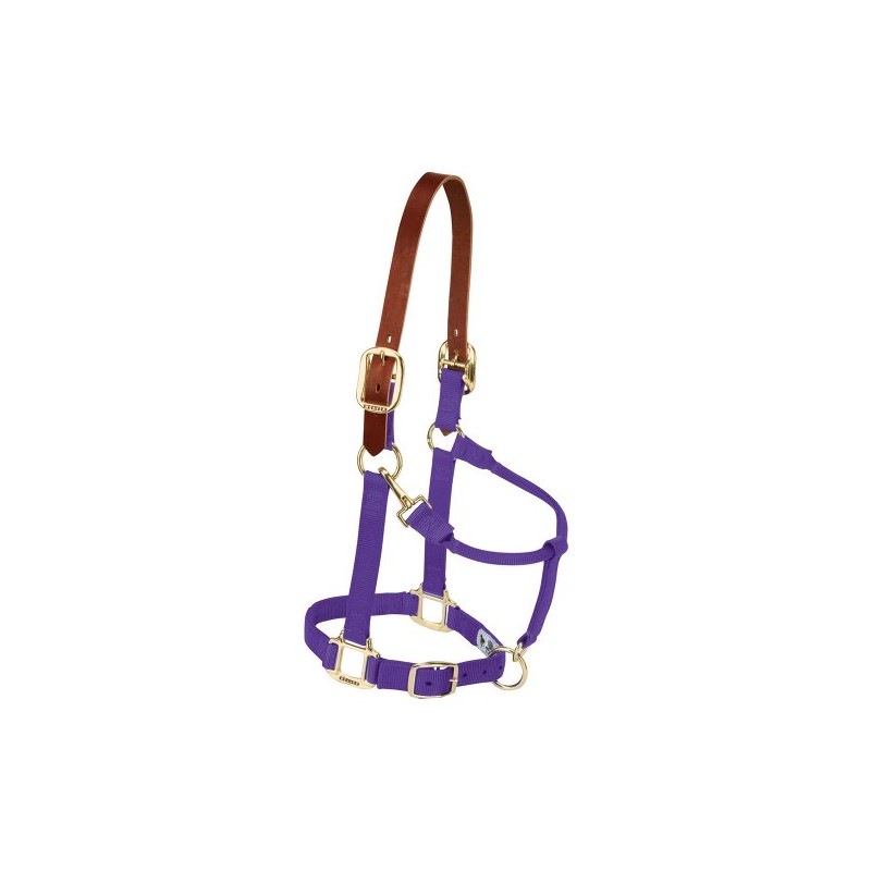 Weaver Leather Nylon Adjustable Breakaway Horse Halter, Small, Purple