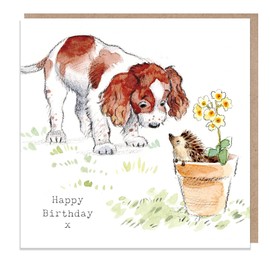 Greeting Card Springer Spaniel and Hedgehog Birthday Card – Happy Birthday Dog