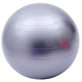 Fortitude Sports Exercise Ball With Pump | Yoga Swiss Ball For Fitness, Pilates, Home and Gym | Anti Burst, Anti Slip Balance Ball in 55, 65, 75cm Sizes (55cm, Grey)