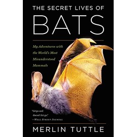 The Secret Lives Of Bats: My Adventures with the World's Most Misunderstood Mammals