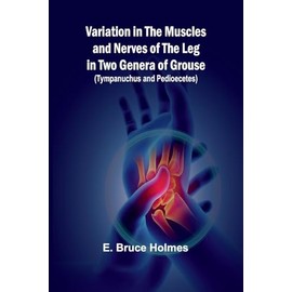 Variation in the Muscles and Nerves of the Leg in Two Genera of Grouse (Tympanuchus and Pedioecetes)