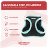 Downtown Pet Supply Step in Dog Harness No Pull, XX-Large,