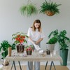 30Pcs Clear Plastic Nursery Pots with Drainage Holes and Saucers,