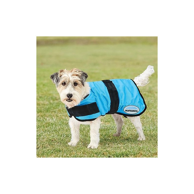 WeatherBeeta Therapy-Tec Cooling Dog Coat, Blue, 30cm
