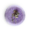 Champú Sólido Lavanda 2 De 120g Volviendo Al Origen Artesanal
