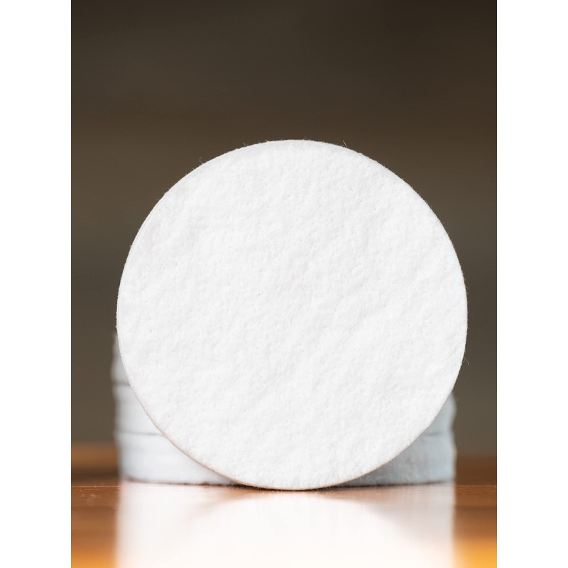 Toddy Filters (2-pack)