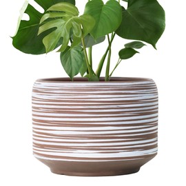 Bestseler 10 Inch Ceramic Plant Pot with Drainage – Large Flower Pot for Indoor Outdoor Plants, Modern Decorative Planter for Patio, Balcony, Garden, or Home Decor