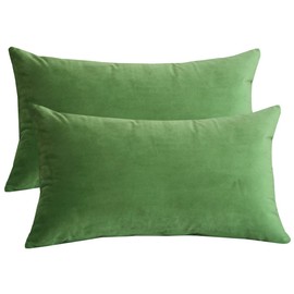 Lutanky Velvet Cushion Covers (Pack of 2) Lovely Rectangle Throw Pillow Cases Soft Solid Decorative Pillow Covers for Sofa Bedroom Car 12x20 Inch 30 x 50 cm(olive-green, 2 pieces)