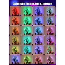 Minetom Upgraded Color Changing Fairy String Lights - 33 ft 100 LED 24 Colors USB Silver Wire Lights with Remote and Timer for DIY Bedroom Party Indoor Christmas Decoration, Adapter Included