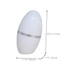 IWOWHERO Oil Absorbing Roller Volcanic Stone Face Roller for Face