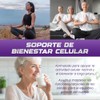 Trans Resveraxen Resveratrol Puro Complejo Antioxidante Quercetina Pimienta Negra