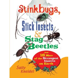 Stink Bugs, Stick Insects, and Stag Beetles: And 18 More of the Strangest Insects on Earth