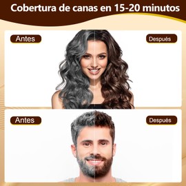 Chestnut Brown Hair Dye Shampoo Champú Tinte Para Cabello 3 En 1 Cobertura Canas Ingredientes Herbales Sin Amoníaco Coloración Duradera 500 Ml Marrón